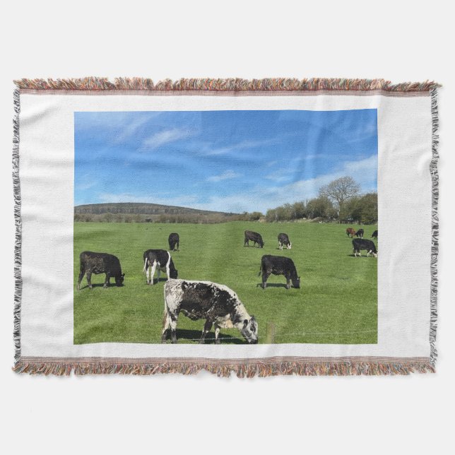 Vacas blancas y negras brillan en la manta de camp (Anverso)