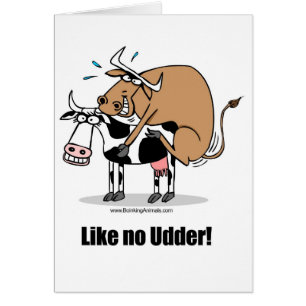 vacas boinking