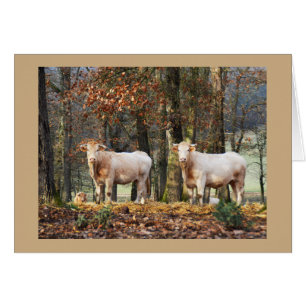 Vacas en el arbolado, Francia