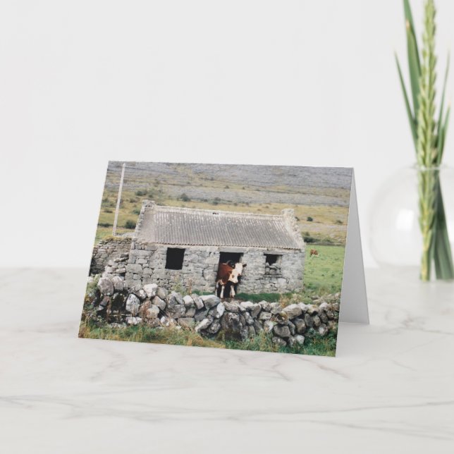 Vacas en la casa - tarjeta en blanco (Anverso)