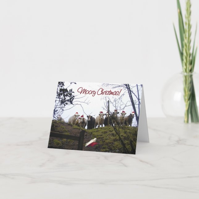 Vacas en la invitación de la fiesta de Navidad de (Anverso)