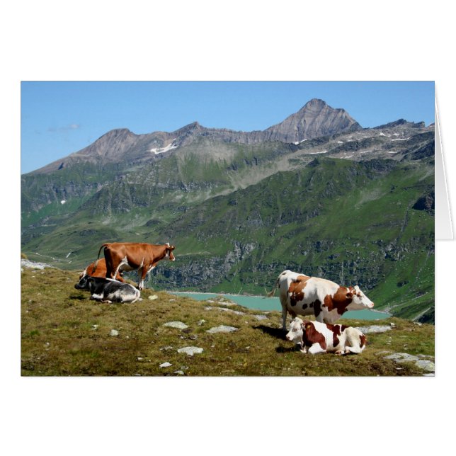 Vacas En Las Montañas (Anverso (Horizontal))