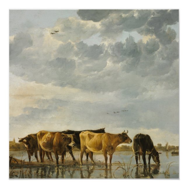 Vacas en un Poster Aelbert Cuyp (Anverso)