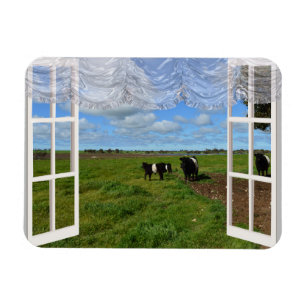Vacas gay a través de una ventana, imán flexible