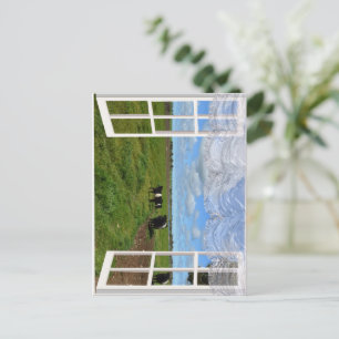 Vacas gay a través de una ventana, postal