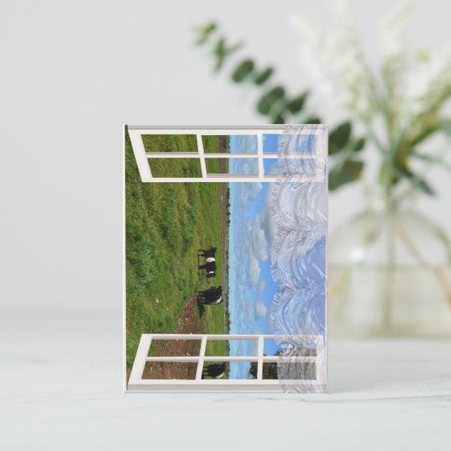 Vacas gay a través de una ventana, postal (Anverso de pie)