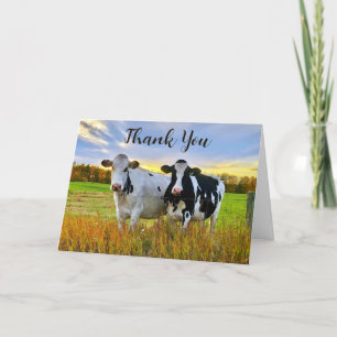 Vacas Holstein En Otoño Gracias Tarjeta 5x7