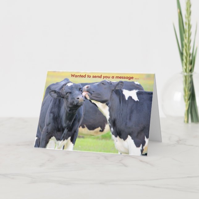 Vacas que me encantan tarjeta de felicitación (Anverso)