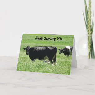 Vacas ricas sólo dicen su tarjeta para mantenerse