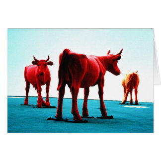 Vacas rojas
