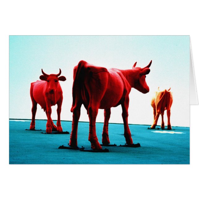 Vacas rojas (Anverso (Horizontal))