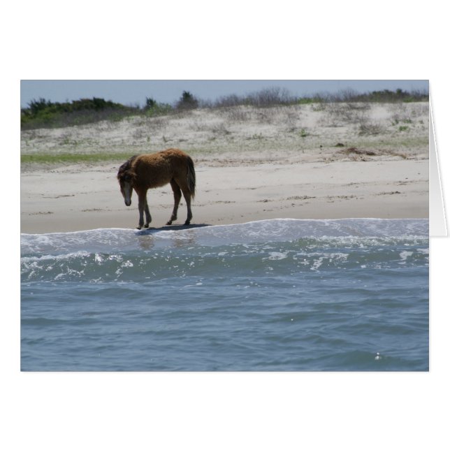 Vague por libremente (Anverso (Horizontal))