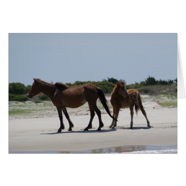 Vague por libremente III (Anverso (Horizontal))