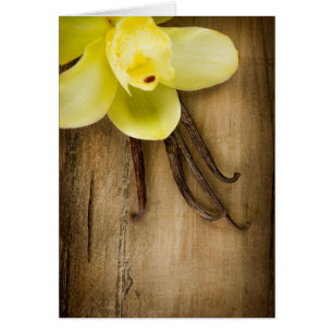 Vainas y flor de la vainilla sobre fondo de madera