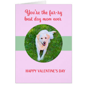Valentine Best Dog Mom Love Cute