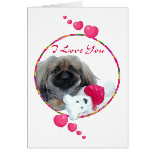 Valentine pekingese