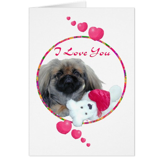 Valentine pekingese (Frente)