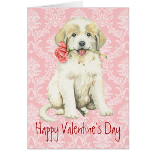 Valentine Rosa Great Pyrenees