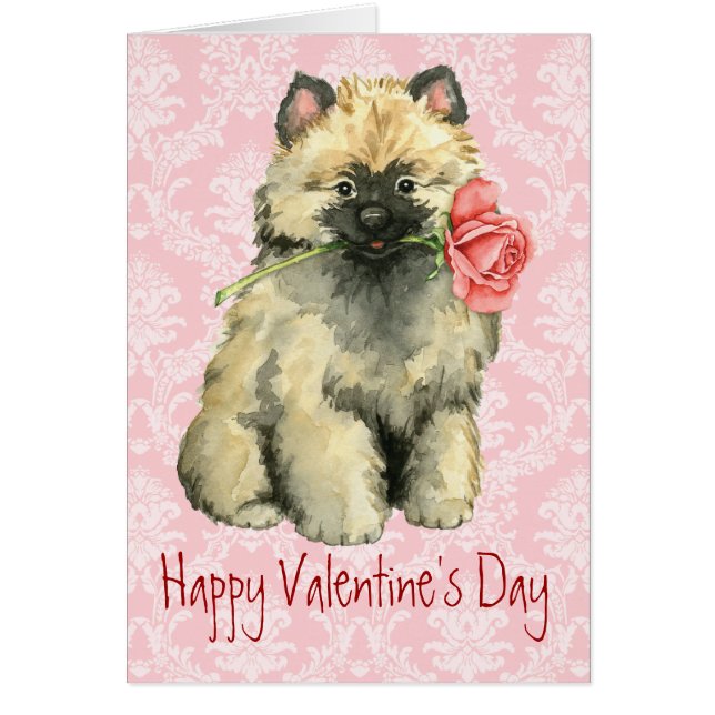 Valentine Rosa Keeshond (Frente)