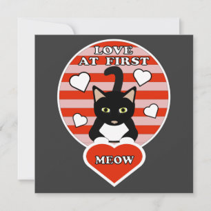 Valentines Amor En First Meow Gato Ama El Corazón 