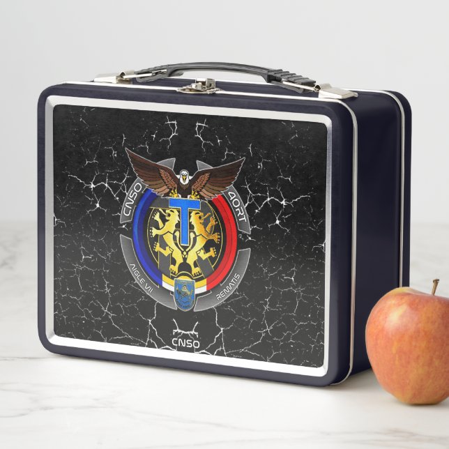 VALISETTE AIGLE7 (In situ)