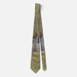 Valla campestre y corbata de cuello de ardilla
