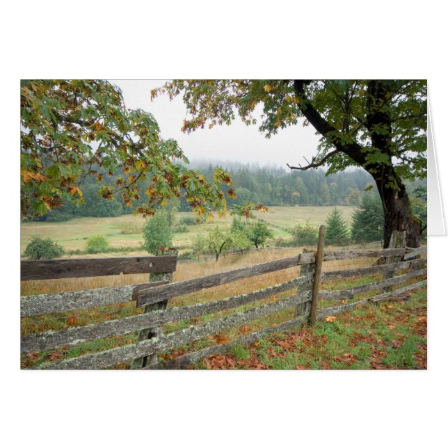Valla vieja en una granja (Anverso (Horizontal))