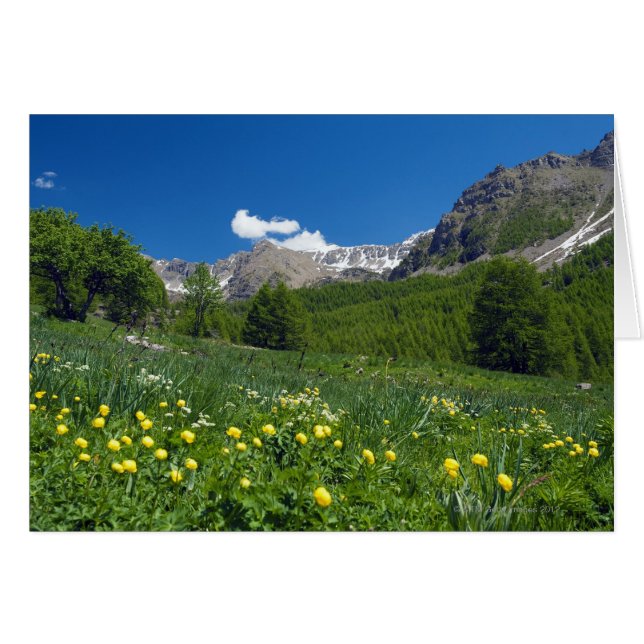 Valle Estenc en la Riviera Francesa de primavera (Anverso (Horizontal))