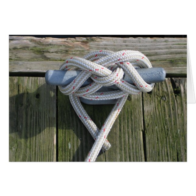 ¡Vamos a atarse! (Anverso (Horizontal))