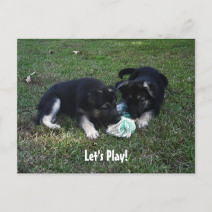 ¡Vamos a jugar! Postal de cachorro de Pastor Alemá