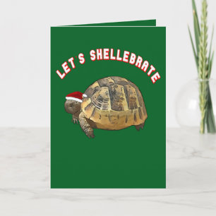 Vamos a Shellebrar la Navidad Tortuga con Ropa de