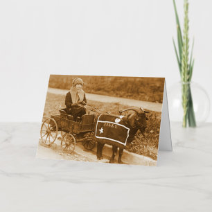 ¡Vamos, Billy! Pastorcilla Vintage en Carro