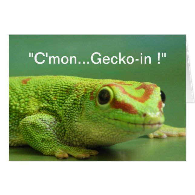 "Vamos... ¡Gecko-in!" (Anverso (Horizontal))