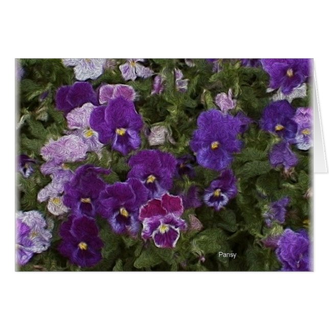 van brutos etc 025 (Anverso (Horizontal))