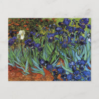 Van Gogh irisa la postal