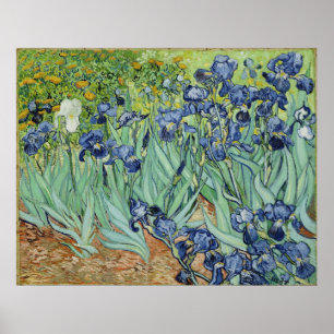 Van Gogh Irises, arte de impresionismo de post vin