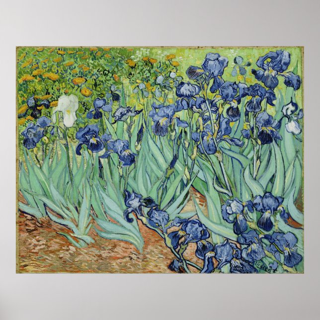 Van Gogh Irises, arte de impresionismo de post vin (Frente)