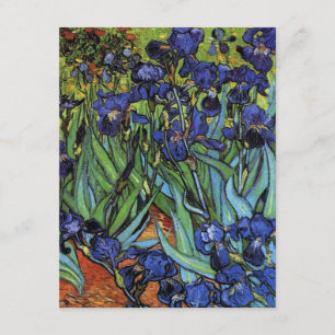 Van Gogh Irises Invitaciones