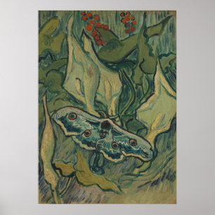 Van Gogh Mariposa Lunar Gigante Arte de Naturaleza