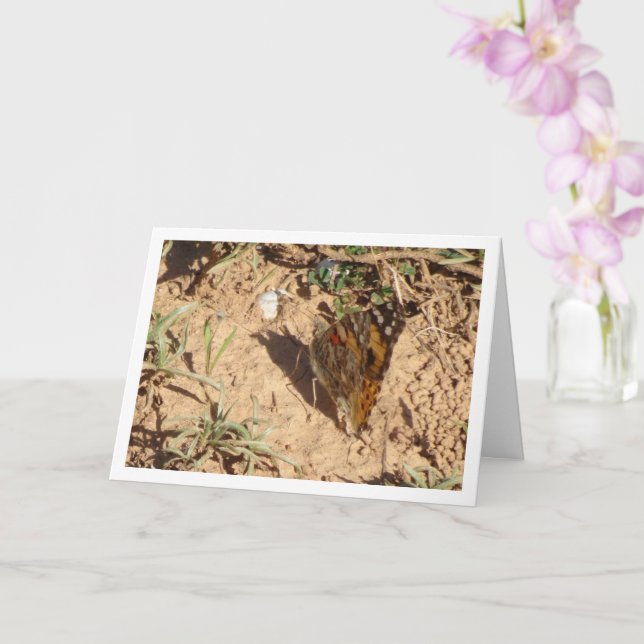 Vanessa Cardui - Tarjeta de mariposa Lady Pintada (Orquídea)