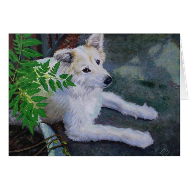 Vanilla Bean (Anverso (Horizontal))