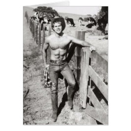 Vaquero del Beefcake del vintage