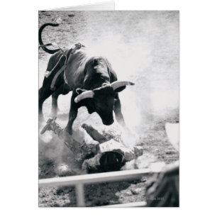Vaquero en el suelo después de caerse del toro