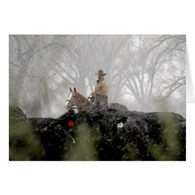 Vaquero en invierno (Anverso (Horizontal))
