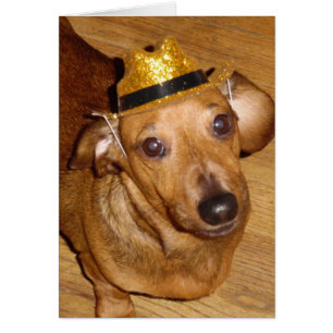 VAQUERO MAGNÍFICO DE MICKEY