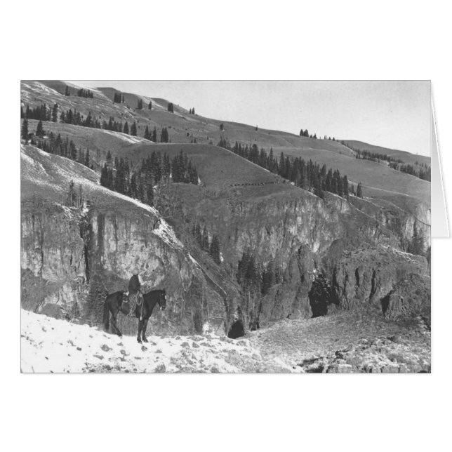 Vaquero separado de su manada (Anverso (Horizontal))