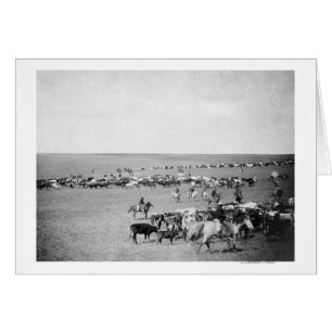 Vaqueros con ganado en la Cordillera Fotografía