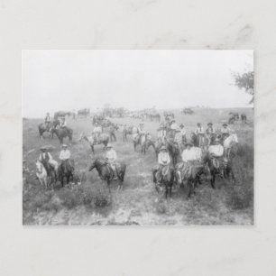 Vaqueros Con Postales De Caballo
