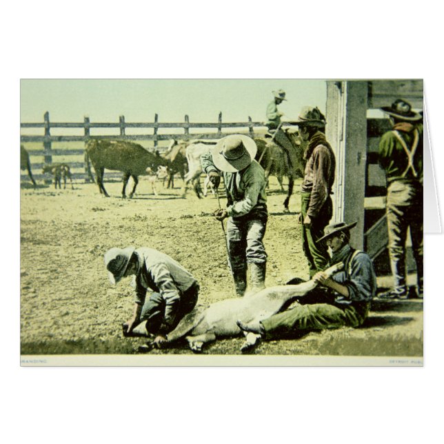 Vaqueros estadounidenses etiquetando una ternera,  (Anverso (Horizontal))