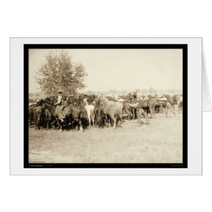 Vaqueros montando una manada de caballos SD 1887